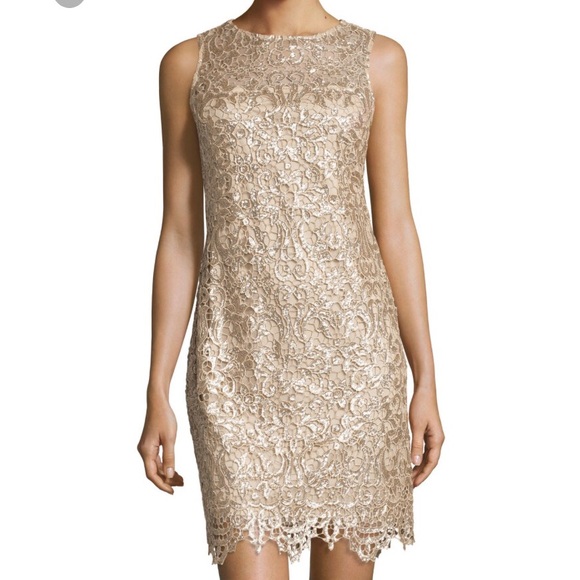 julia jordan lace sheath dress